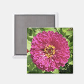 Lebendige Zinnienblumen-Foto Magnet (Vorderseite/Rückseite)