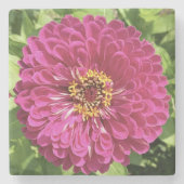 Lebendige Zinnienblumen-Foto Steinuntersetzer (Vorderseite)