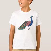 Lebendiger bescheidener Pfau