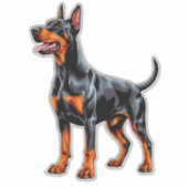 Lebendiger Dobermann Aufkleber (Vorderseite)