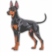 Lebendiger Dobermann Aufkleber (Vorderseite)