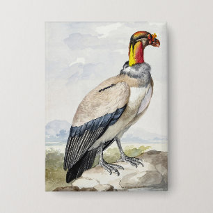 Lebendiger exotischer Königsgeier-Wandschmuck Button