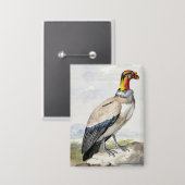 Lebendiger exotischer Königsgeier-Wandschmuck Button (Vorderseite/Rückseite)
