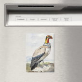 Lebendiger exotischer Königsgeier-Wandschmuck Magnet (In Situ (Geschirrspüler))