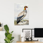 Lebendiger exotischer Königsgeier-Wandschmuck Poster (Heimbüro)