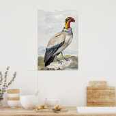 Lebendiger exotischer Königsgeier-Wandschmuck Poster (Küche)