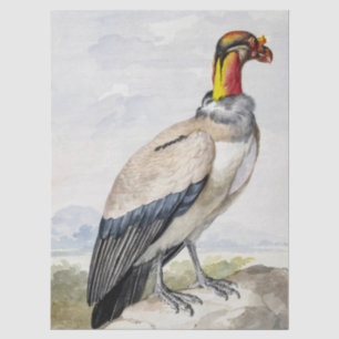 Lebendiger exotischer Königsgeier-Wandschmuck Seidenpapier