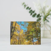 Lebendiger Herbstwald mit Bäumen Postkarte (Stehend Vorderseite)