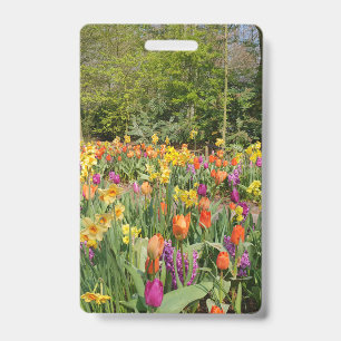 Lebendiger Holländischer Tulpen Garten Ausweis