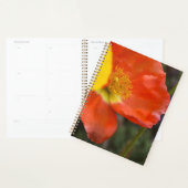 Lebendiger Oranger Mohn Blumenplaner – Makro-Blume Planer (Anzeige)