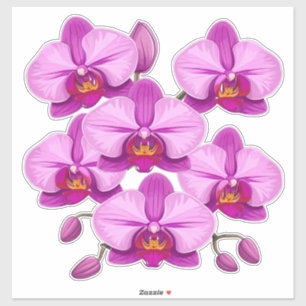 Lebendiger rosa Orchideen-Blütencluster Aufkleber