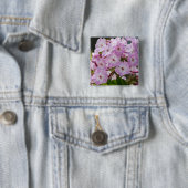 Lebendiger Rosa Phlox Botanisch Button (Beispiel)