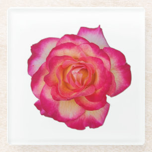 Lebendiger Rosa Rosenuntersetzer Glasuntersetzer