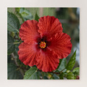 Lebendiger roter Hibiskus tropische Blüte Puzzle (Horizontal)