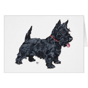 Lebendiger Scottie-Hund
