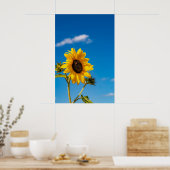 Lebendiger Sonnenblumenblütenposter Poster (Küche)
