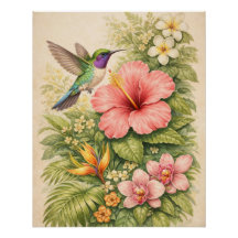 Lebendiger Tropischer Kolibri Botanischer Hibiskus