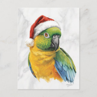 Lebendiges Papageienporträt mit Weihnachtsmannmütz Feiertagspostkarte