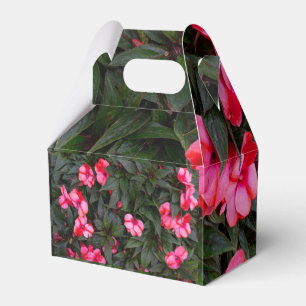 Lebendiges Rosa New Guinea Impatiens-Blumenmuster Geschenkschachtel