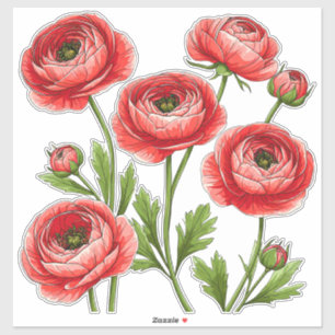 Lebendiges rotes Ranunculus-Blumenstrauß mit grüne Aufkleber