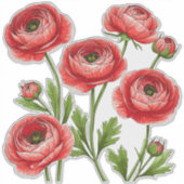 Lebendiges rotes Ranunculus-Blumenstrauß mit grüne Aufkleber (Vorderseite)