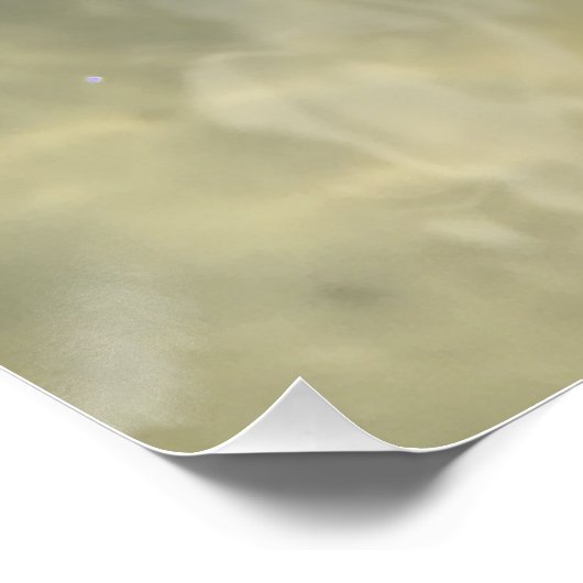 Lebendkämpferin Seashell Poster (Ecke)