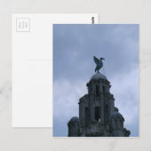 Lebendvogel in Liverpool Postkarte (Vorne/Hinten)