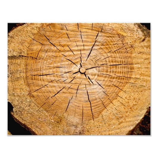 Lebensabschnitt Fotodruck (Vorne)