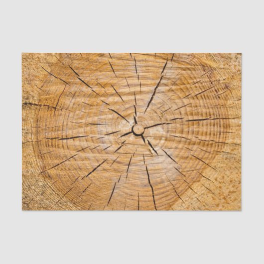 Lebensabschnitt Seidenpapier (Vorderseite)