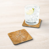 Lebensabschnitt Untersetzer (Rechte Seite)