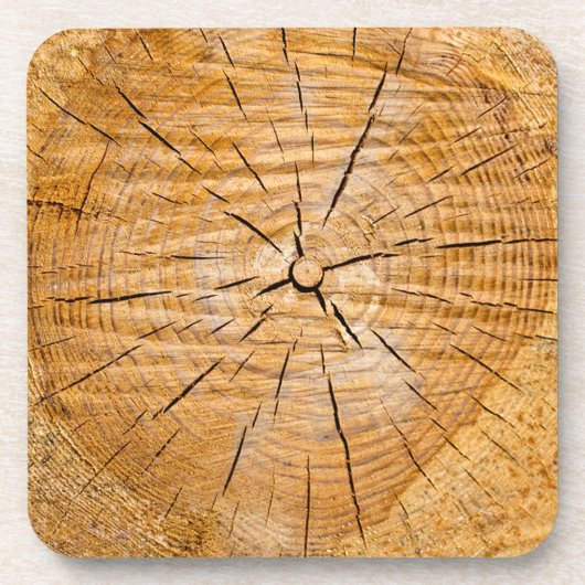 Lebensabschnitt Untersetzer (Vorderseite)