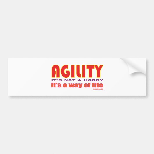 Lebensart Autoaufkleber (Vorne)