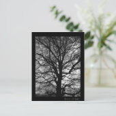 Lebensbaum - Baum des Lebens Postkarte (Stehend Vorderseite)