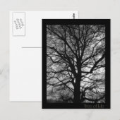 Lebensbaum - Baum des Lebens Postkarte (Vorne/Hinten)