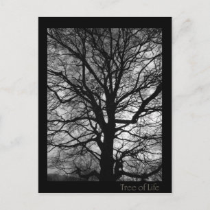 Lebensbaum - Baum des Lebens Postkarte