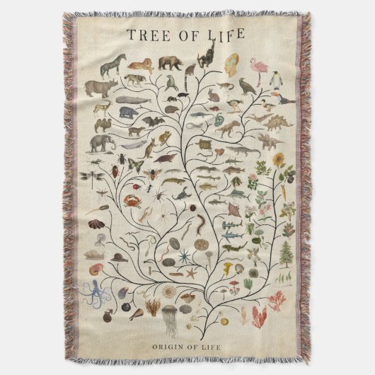 Lebensbaum Decke (Vorderseite Vertikal)