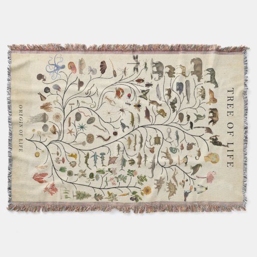 Lebensbaum Decke (Vorderseite)