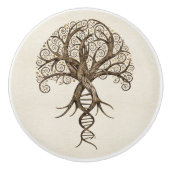 Lebensbaum - Evolution Keramikknauf (Vorderseite)