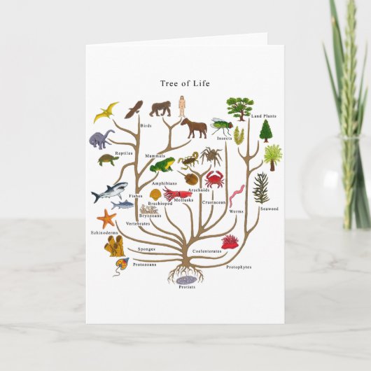 Lebensbaum Karte (Vorderseite)