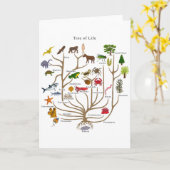 Lebensbaum Karte (Gelbe Blume)