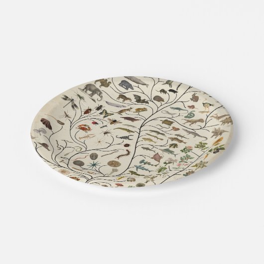 Lebensbaum Pappteller (Schrägansicht)