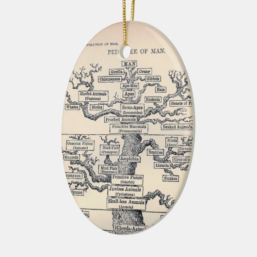 Lebensbaum / Pedigree des Menschen Keramik Ornament (Links)