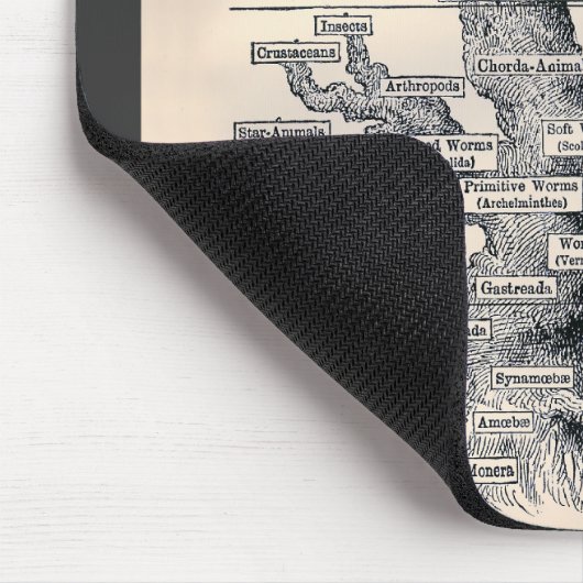 Lebensbaum / Pedigree des Menschen Mousepad (Ecke)