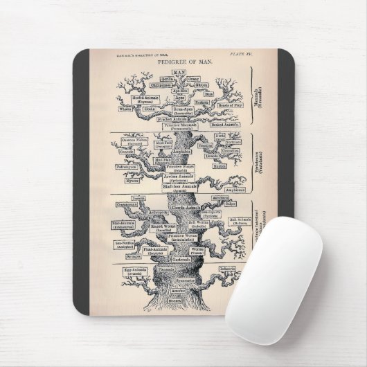 Lebensbaum / Pedigree des Menschen Mousepad (Mit Mouse)