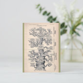 Lebensbaum / Pedigree des Menschen Postkarte (Stehend Vorderseite)