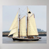 Lebensbaum Poster (Vorne)