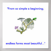 Lebensbaum Poster (Vorne)