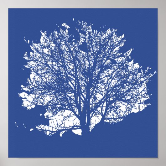 Lebensbaum Poster (Vorne)