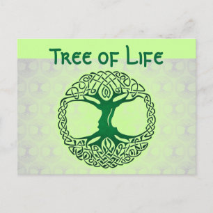 Lebensbaum Postkarte