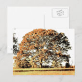 Lebensbaum Postkarte (Vorne/Hinten)